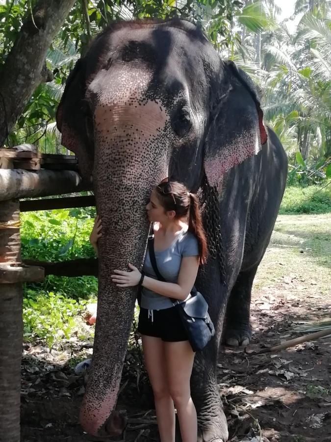 Rainbow Beach Resort Ambalangoda  Eksteriør bilde