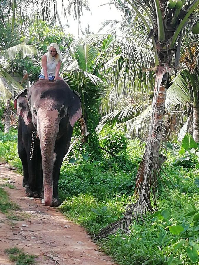 Rainbow Beach Resort Ambalangoda  Eksteriør bilde